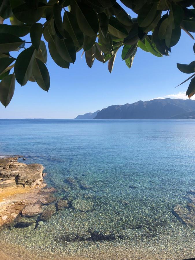 The Island House - Family Size Apt - Overlooking The Aegean - 3 Steps From The Beach Mókhlos Exterior foto